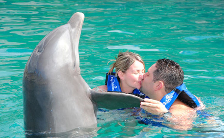 Couples Dreams - Dolphin Swim Cancun Aquarium 