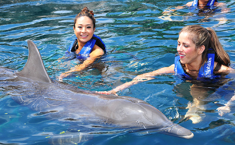 Primax - Dolphin Swim at Xcaret 