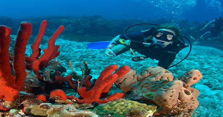 Scuba 2 Tank Cozumel 