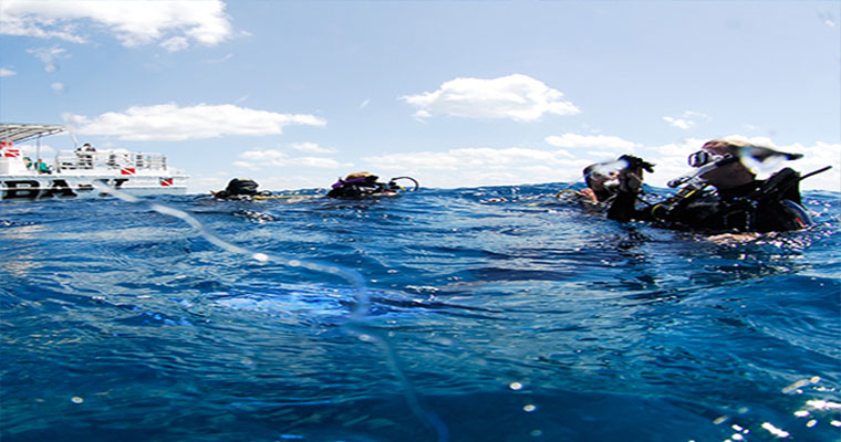 Scuba 2 Tank Cozumel 