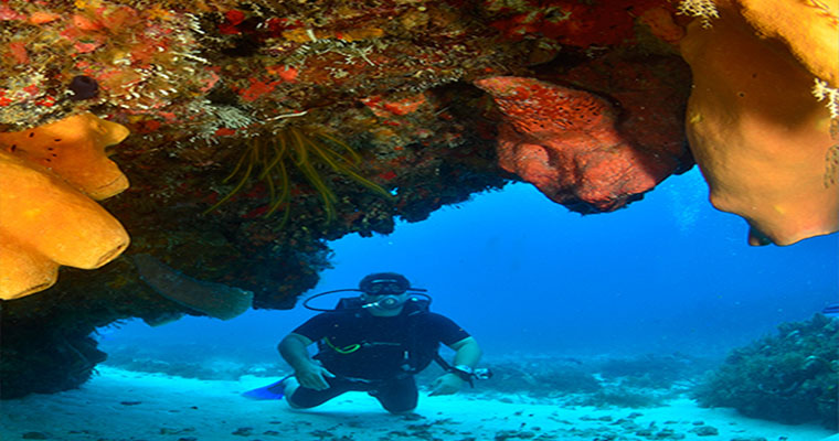 Scuba 2 Tank Cozumel 