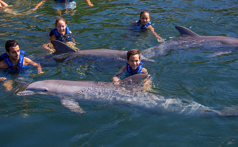 Swim with Dolphins - Puerto Morelos