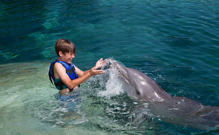 Swim with Dolphins - Punta Cancun