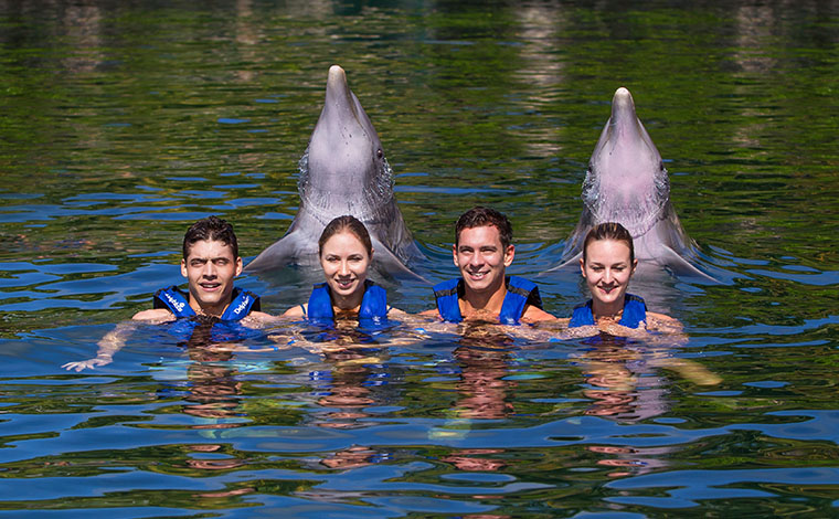 Delphinus Supreme - Puerto Morelos 