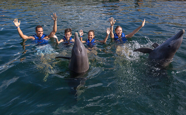 Delphinus Supreme - Punta Cancun 