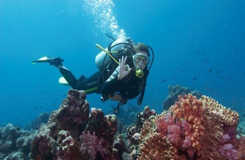 Enjoy a trip to the underwater world of the Cancun Sea.