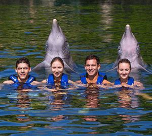 Swim with Dolphins - Riviera Maya