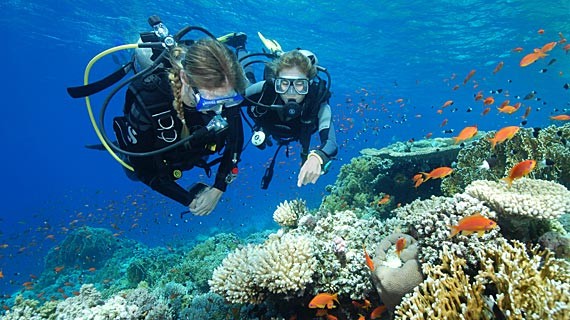 Scuba Dive Package B